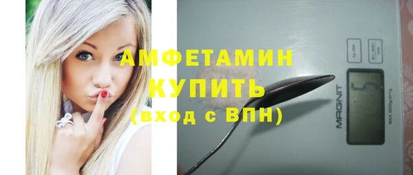 шишки Аркадак