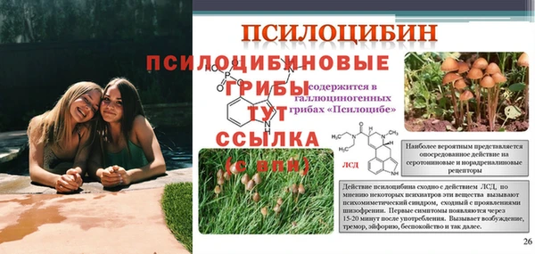 альфа пвп Армянск