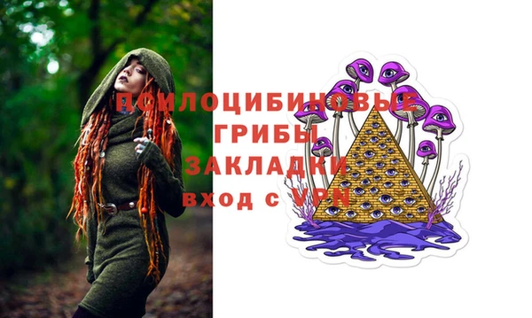шишки Аркадак