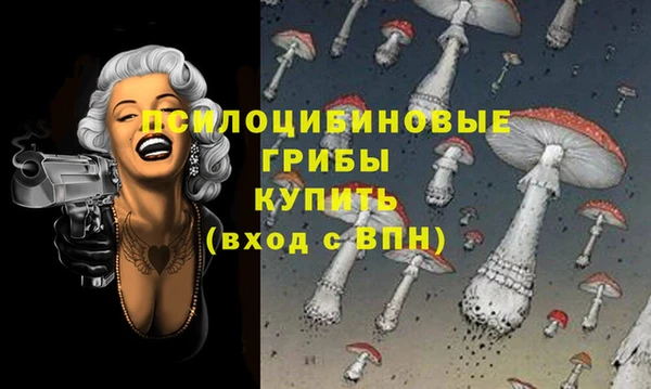 шишки Аркадак