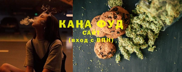 шишки Аркадак