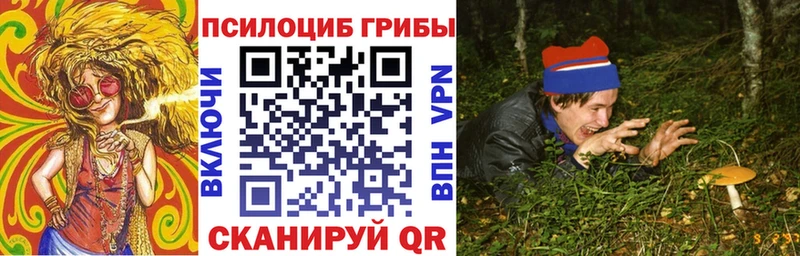 Псилоцибиновые грибы Cubensis Удомля