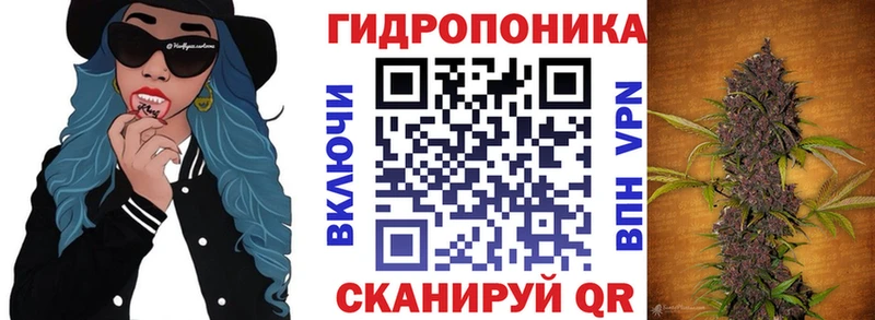 omg tor Удомля Шишки марихуана ГИДРОПОН